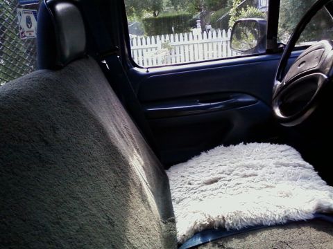 1994 Ford F-250 - The interior of a truck cab is shown, with a sheepskin cover on the passenger seat and a view through the window.