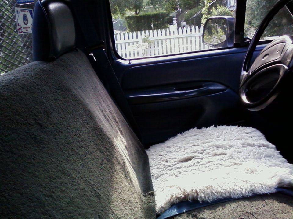 Interior shot of a truck cab, showing the passenger seat with a sheepskin cover and the dashboard