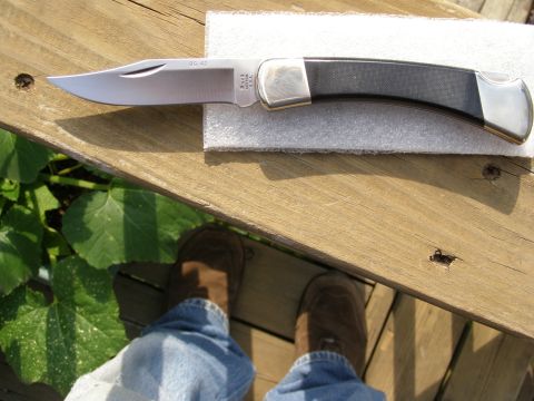 2000 Ford Crown Victoria - A Buck BG-42 knife rests on a wooden deck next to green foliage.
