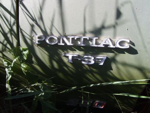 1971 Pontiac Lemans - Close-up of the Pontiac T-37 emblem on a vehicle, partially obscured by foliage.