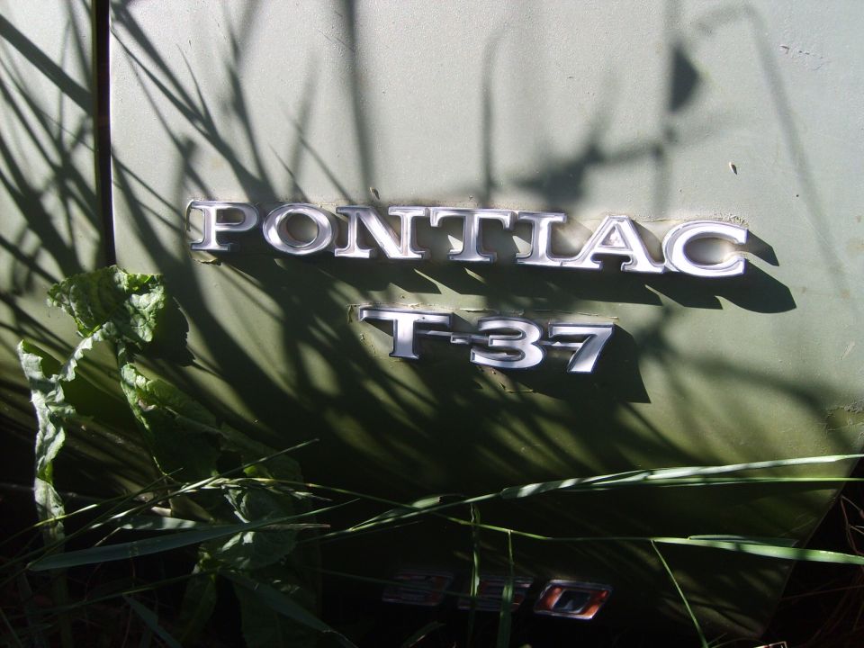 Pontiac T-37 emblem on a car. Some weeds are in front of it