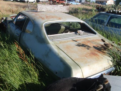 1971 Pontiac Lemans - Abandoned 1971 Pontiac Lemans coupe sits in tall grass, showing rust and wear.