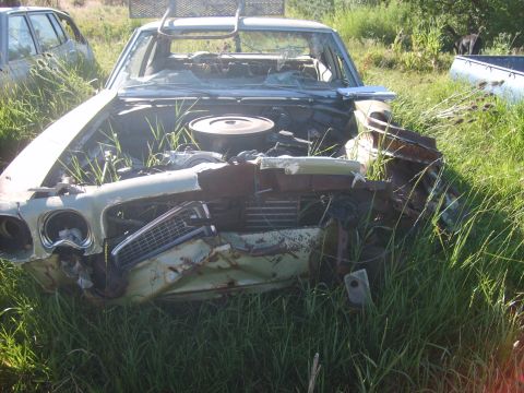 1971 Pontiac Lemans - This heavily damaged 1970 Pontiac T-37 sits abandoned in a field, overgrown with weeds.