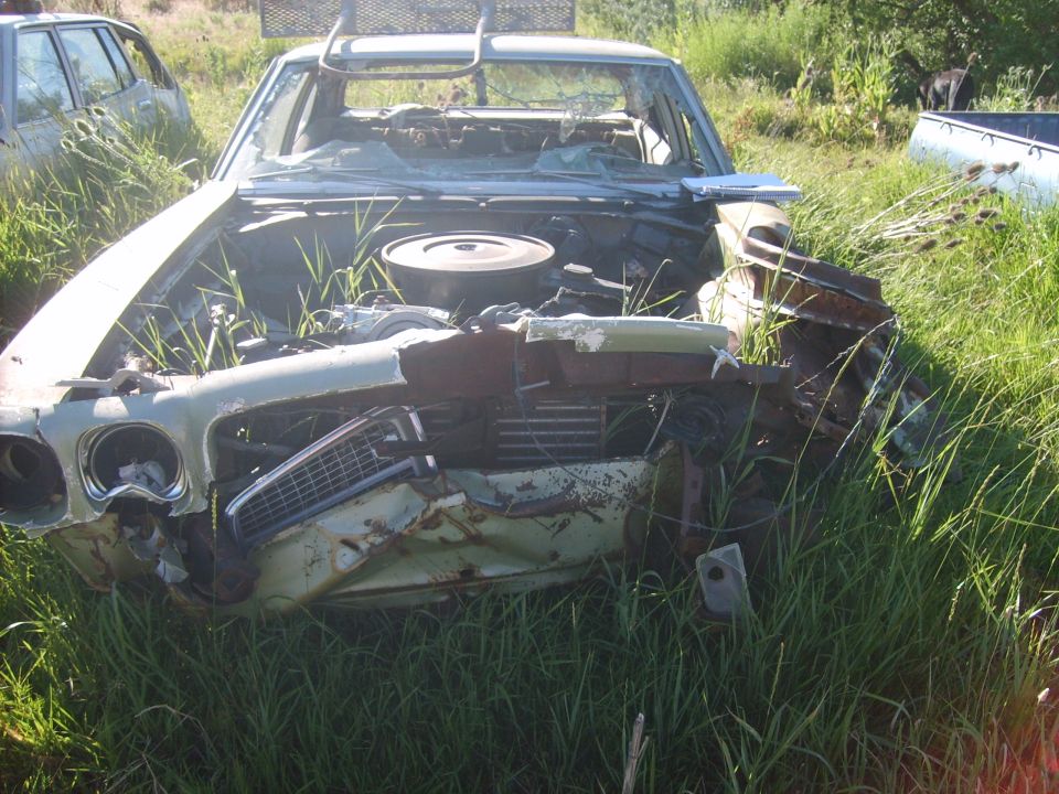 Front end of a wrecked 1970 Pontiac T-37 with its hood open, sitting in tall grass