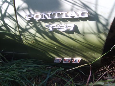 1971 Pontiac Lemans - Close-up of the Pontiac T-37 emblem and 350 engine badge on a vintage car.