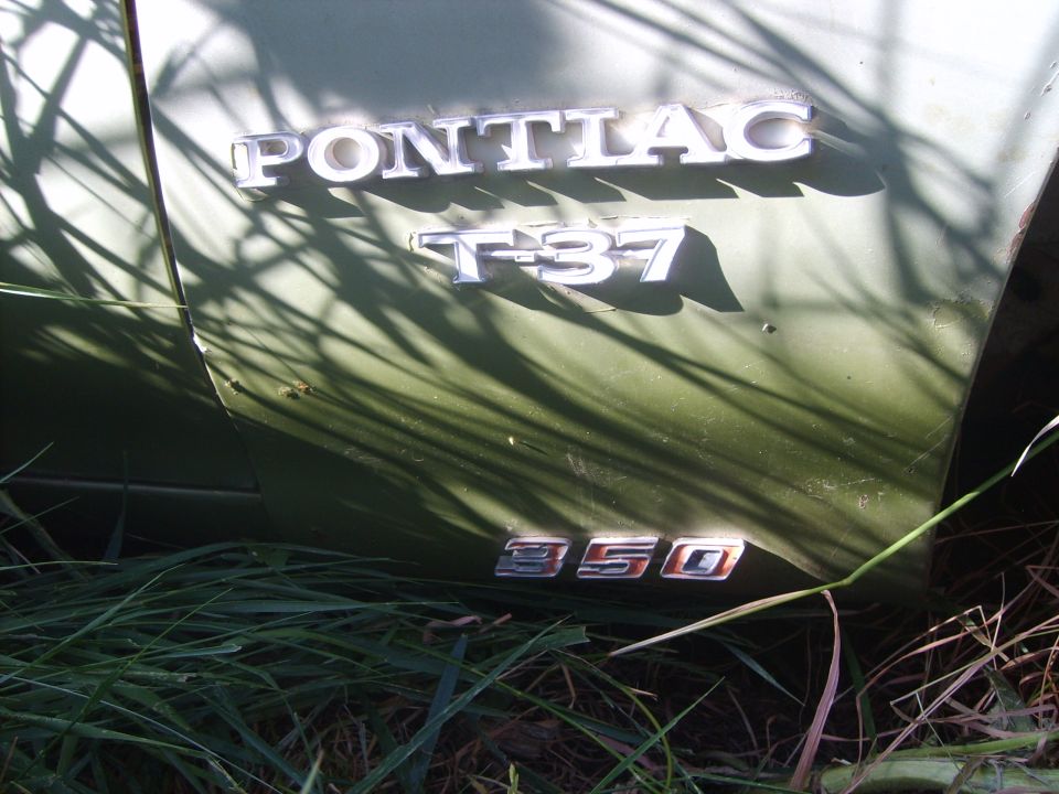 Pontiac T-37 badge and 350 engine designation on side of car