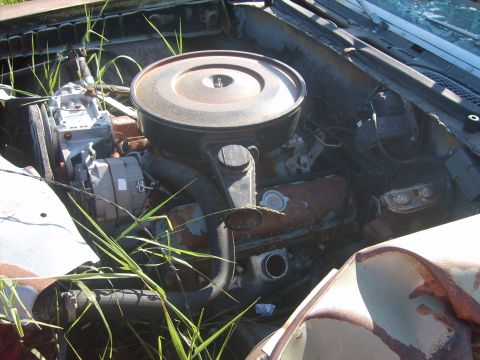 1971 Pontiac Lemans - The engine bay of a neglected vehicle shows signs of rust and overgrowth.