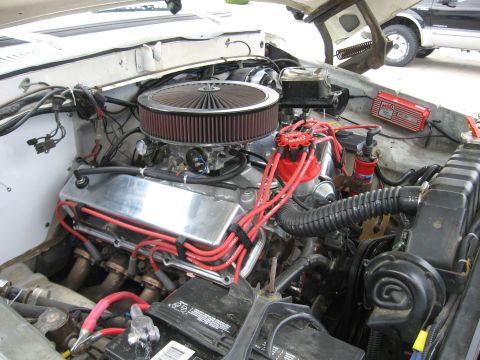 1979 Ford Bronco - The engine bay of a vehicle shows custom modifications including chrome valve covers and red spark plug wires.