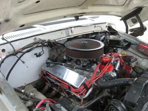 1979 Ford Bronco - Engine bay view of a V8 engine chrome valve covers and red MSD ignition components.