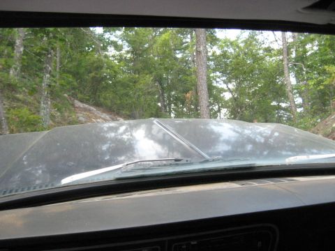 1978 Ford Bronco - Looking out from inside a vehicle at a dusty hood and windshield, with a wooded area visible beyond.