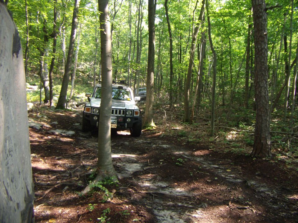 White SUV driving off-road in a forest. Another vehicle is visible behind it