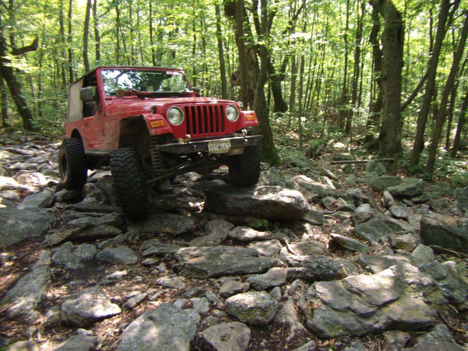 Red Jeep Wrangler driving over rocks on a wooded trail. License plate is visible