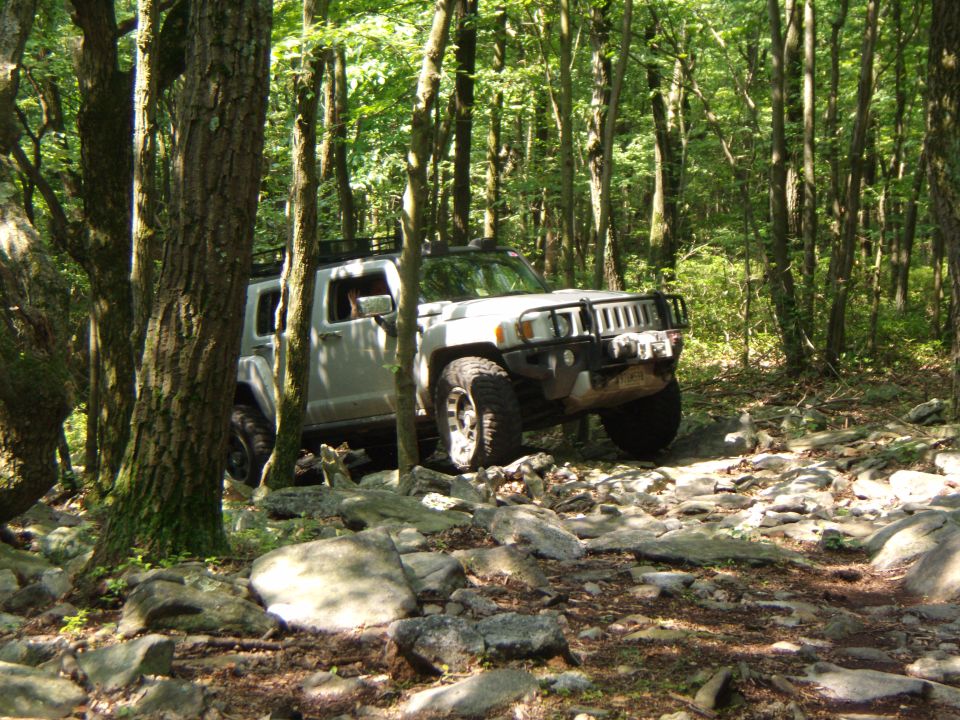 White SUV on rocky forest trail. Front grille and bumper visible