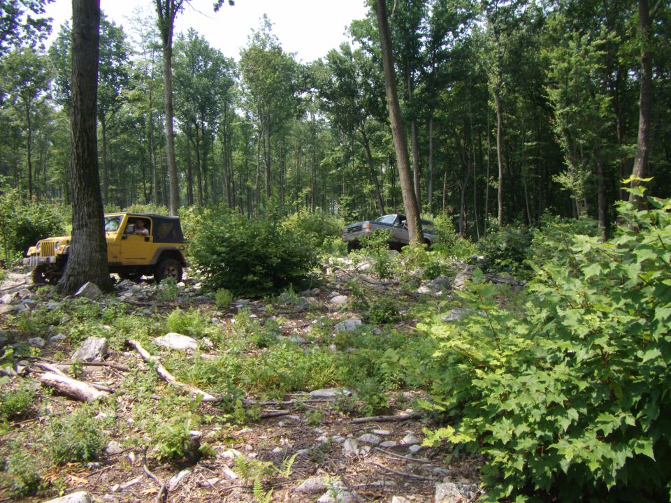 yellow Jeep Wrangler and a gray SUV driving on a rocky, wooded trail