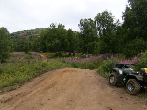 2000 Ford E350 - An ATV sits on a dirt track surrounded by lush greenery and blooming wildflowers under an overcast sky.