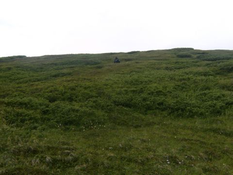 2000 Ford E350 - An all-terrain vehicle is visible in the distance on a vast, green, grassy landscape.