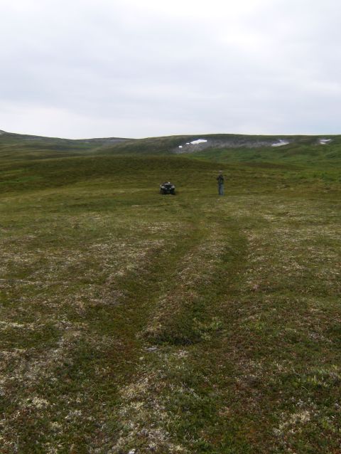 2000 Ford E350 - An all-terrain vehicle sits in a vast, open landscape under a cloudy sky.