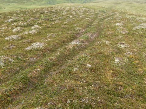 2000 Ford E350 - Tire tracks are visible in a natural landscape, suggesting off-road activity.