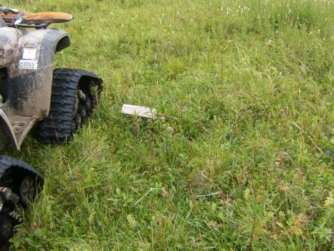 2000 Ford E350 - All-terrain vehicle parked in a grassy field, showing a license plate.
