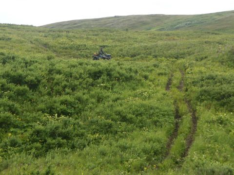 2000 Ford E350 - An all-terrain vehicle navigates a vast, green landscape with rolling hills and overgrown vegetation.