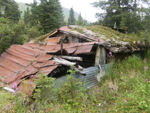 2000 Ford E350 - An abandoned cabin in a wooded area shows significant decay and disrepair.