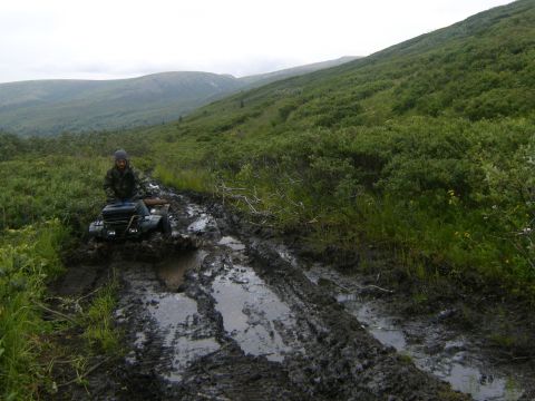 2000 Ford E350 - An ATV struggles through deep mud on a remote, overgrown trail with hills in the background.