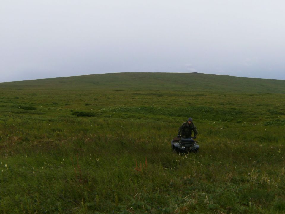 Person in camouflage riding a dark ATV through tall grass on a hill under a cloudy sky