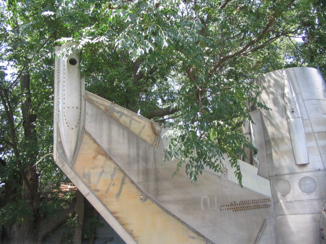 Close-up of an airplane tail section with rivets and some markings, partially obscured by tree branches