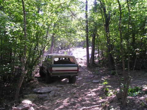 1989 Ford Bronco - 1989 Ford Bronco navigates a challenging off-road path through a dense forest.