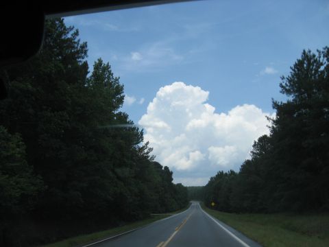 1978 Ford Bronco - A two-lane road winds through a dense forest under a bright blue sky with large cumulus clouds.