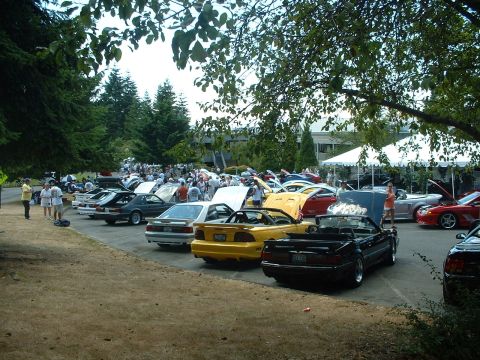 1999 Ford Crown Victoria - Outdoor car show numerous Ford Mustangs and attendees under trees.