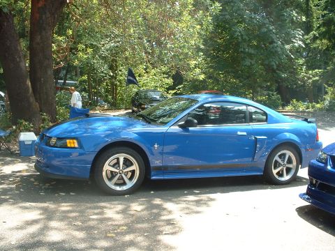 1999 Ford Crown Victoria - A blue Ford Mustang is parked outdoors, with trees and other vehicles present.