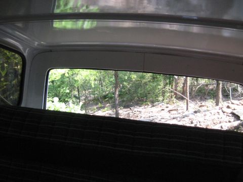 1978 Ford Bronco - View from inside a vehicle shows a wooded landscape through the rear window.