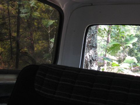 1978 Ford Bronco - View from inside a vehicle, looking out at a wooded area through the windows.