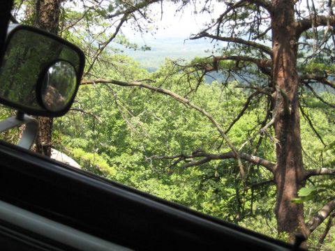 1978 Ford Bronco - View from inside a vehicle looking out at a dense forest and distant hills through branches and a side mirror.