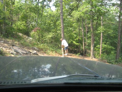 1978 Ford Bronco - View from inside a vehicle looking over the hood at a person digging in a wooded area.