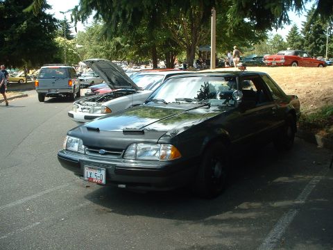 1999 Ford Crown Victoria - This black 1993 Ford Mustang coupe, equipped with a police light and bearing the license plate LX 5-0, is parked at an outdoor event.