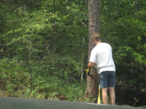 1978 Ford Bronco - Man operates a chainsaw on a tree in a wooded area.