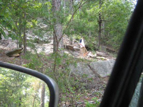 1978 Ford Bronco - A person stands amidst rocks and trees, viewed from the interior of a vehicle.