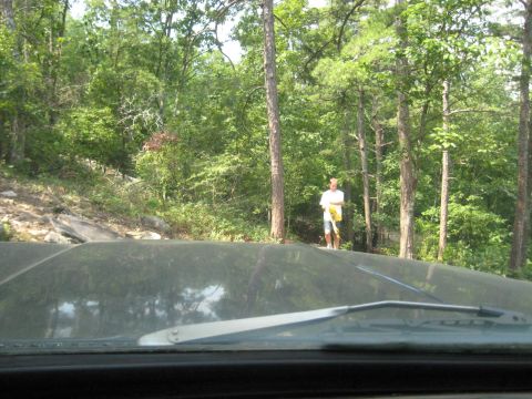 1978 Ford Bronco - A person stands in a wooded area, viewed from the perspective of someone inside a vehicle.