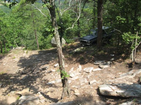 1978 Ford Bronco - A black 1973 Ford F-Series pickup truck is parked on a rough, wooded terrain.