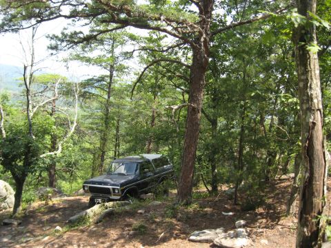 1978 Ford Bronco - 1978 Ford Bronco navigating a wooded trail with rocky terrain.