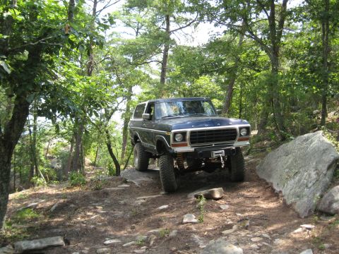 1978 Ford Bronco - This 1978 Ford Bronco navigates a challenging off-road path through a dense forest.