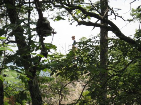 1978 Ford Bronco - A young person stands on a rocky outcrop, partially obscured by foliage, against a bright sky.