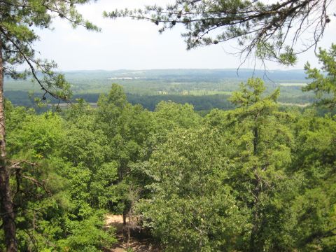 1978 Ford Bronco - A wide vista of green trees and rolling hills, seen from a high vantage point.