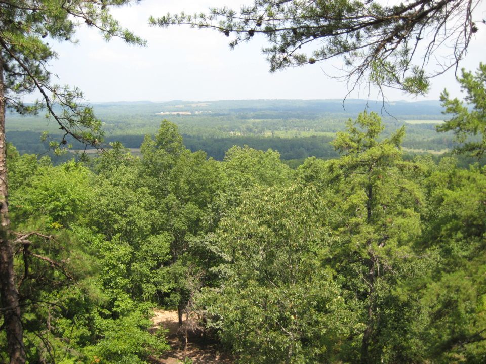 View over a dense forest with distant hills under a hazy sky