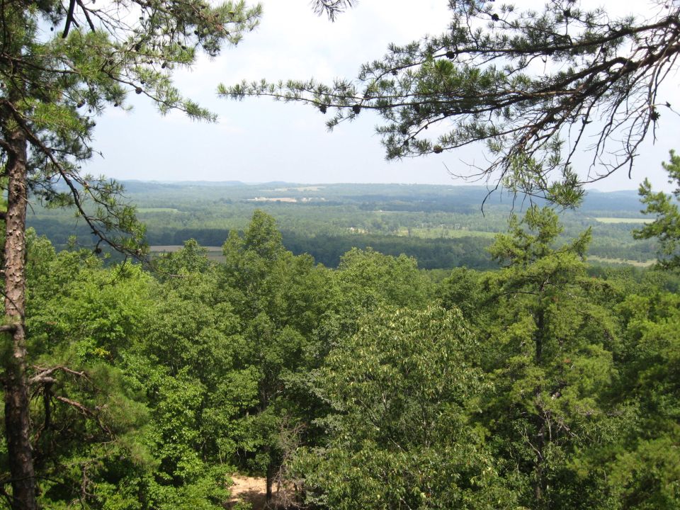 View from a high vantage point overlooking a dense forest with rolling hills and a hazy sky in the distance