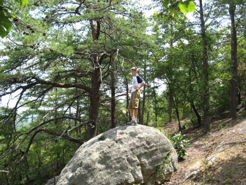 1978 Ford Bronco - A young boy stands atop a large rock in a forest clearing, surrounded by trees.