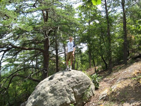 1978 Ford Bronco - A person stands atop a large boulder amidst a dense forest landscape.