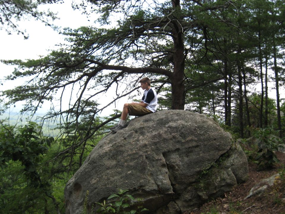 Person sitting on a large rock under a tree